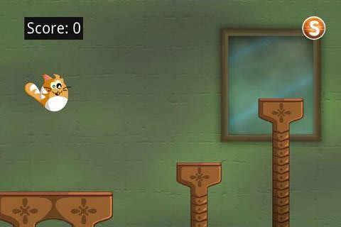 BallCat Quest